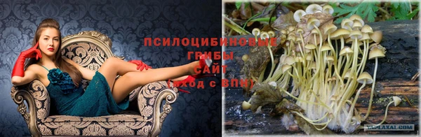 spice Козельск