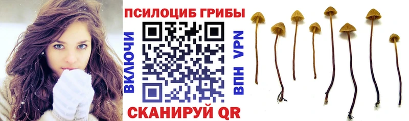 Псилоцибиновые грибы MAGIC MUSHROOMS  Цоци-Юрт 