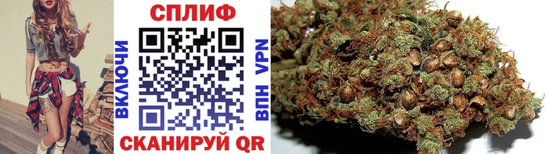 Каннабис ГИДРОПОН  Цоци-Юрт 